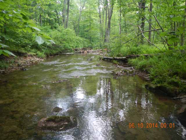 fowlers hollow.Laural run 06-09-14 100.jpg -                                